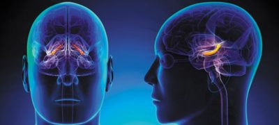 Your Brain Remembers Insults for 20 Years; But Compliments Vanish in Just 30 Days!