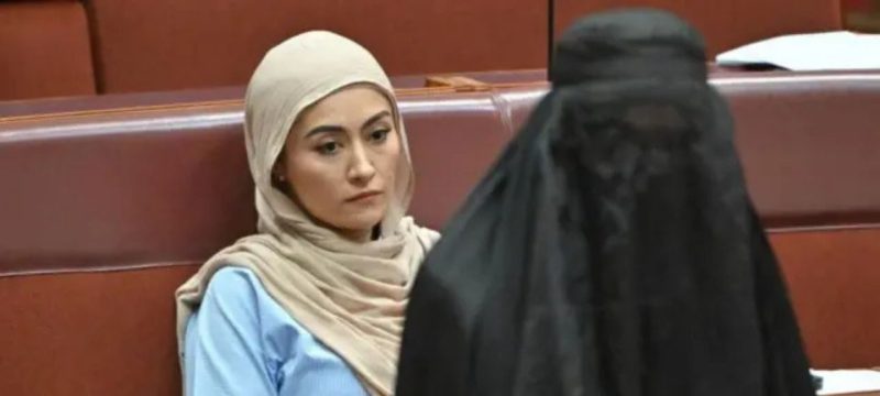 Australian Senate Suspends Pauline Hanson Over 'Disrespectful' Burqa Stunt
