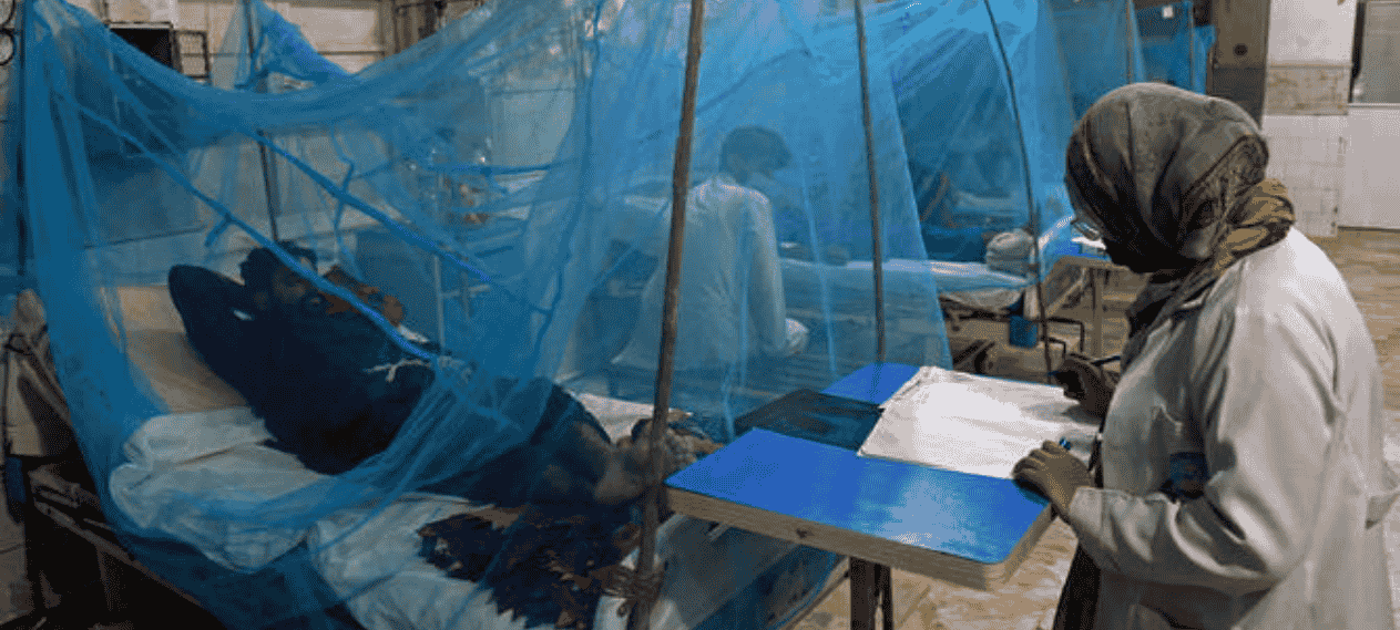 Dengue Outbreak In Sindh Claims Four More Lives