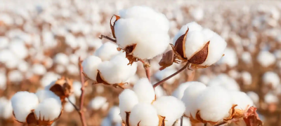 FBR Moves to Track Undocumented Cotton Bales with Video Surveillance System