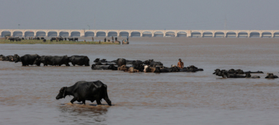 Pakistan May Face 26% Higher Monsoon Rains in 2026: NDMA