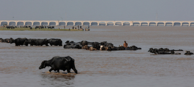 Pakistan May Face 26% Higher Monsoon Rains in 2026: NDMA