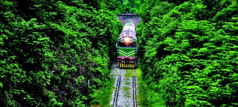 Pakistan Railways to Plant Trees and Flowers Along Railway Tracks