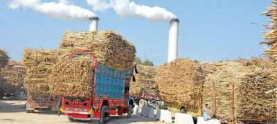 Punjab Govt Cracks Down on Sugar Mills Delaying Crushing