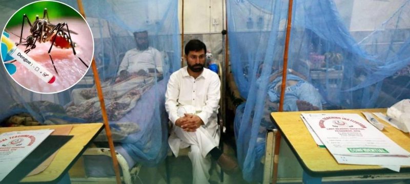 Sindh Records 819 New Dengue Cases in 24 Hours