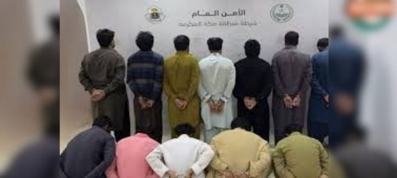 13 Pakistani Nationals Arrested in Saudi Arabia for Sheep Theft