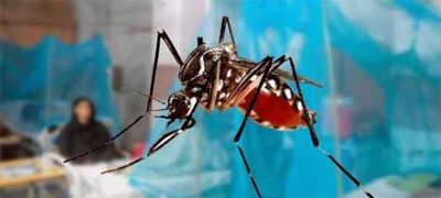 Punjab Reports 12 New Dengue Cases in 24 Hours