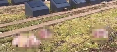 Shocking Incident Muslim Graveyard Desecrated with Pig Heads in Australia