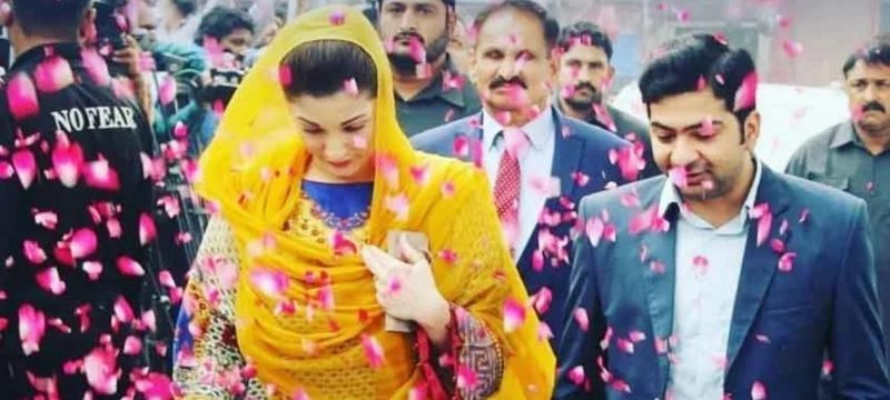 Zeeshan Ashiq Malik Appointed Adviser on Political Affairs to Punjab CM