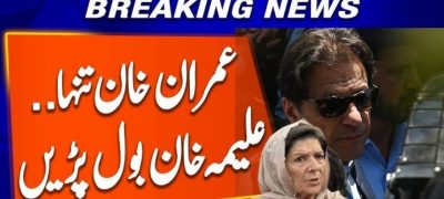 Aleema Khan Reveals Imran Khan in Solitary Confinement