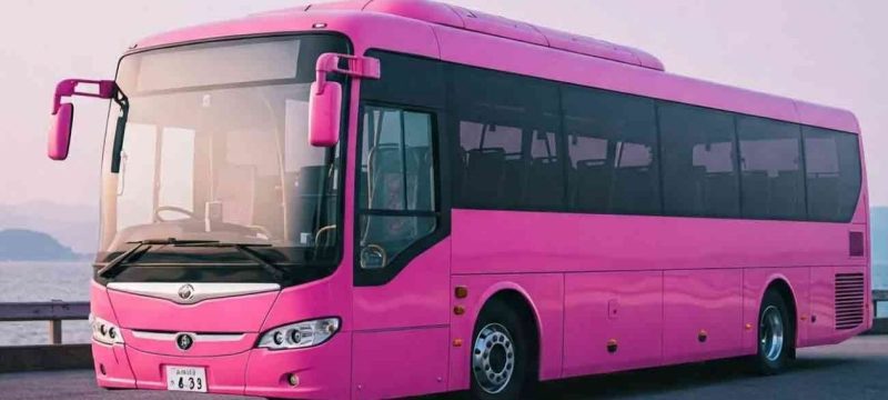 Balochistan Starts Pink Bus Service Aimed at Women and Students