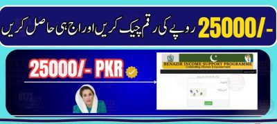 Check Your Rs. 25,000 BISP Payment Online 2026 via 8171 Web Portal – Simple Verification Guide