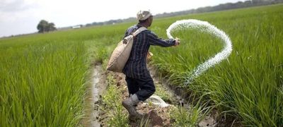Historic Record in Fertilizer Sales Boosts Pakistan’s Agriculture