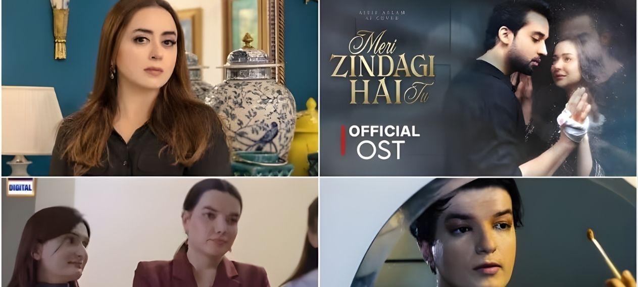 Maria B Criticizes Meri Zindagi Hai Tu Over LGBT Character