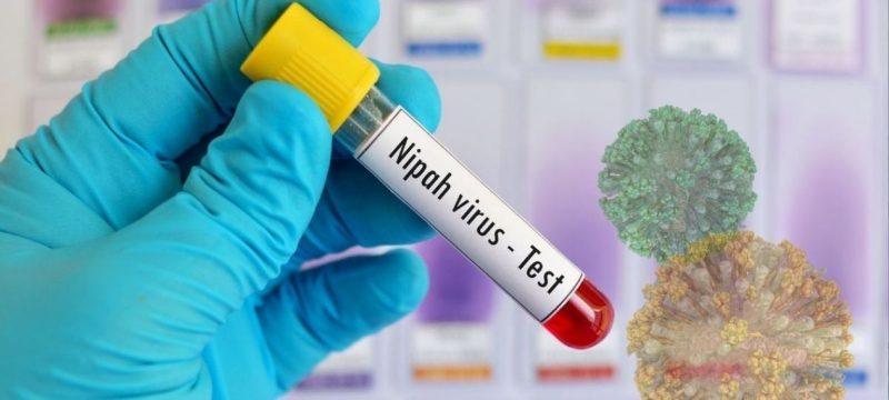 Pakistan Issues Alert as Nipah Virus Cases Reported in India