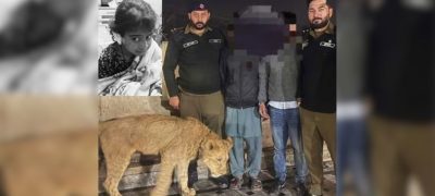 Pet Lion Attack in Lahore Leaves Girl Hospitalized in Iqbal Town