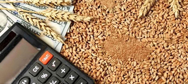 Punjab Announces Wheat Policy 2026, Fixes Price at Rs3,500 per Maund