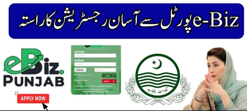 Punjab e-Biz Portal Fast & Easy Business Registration Guide