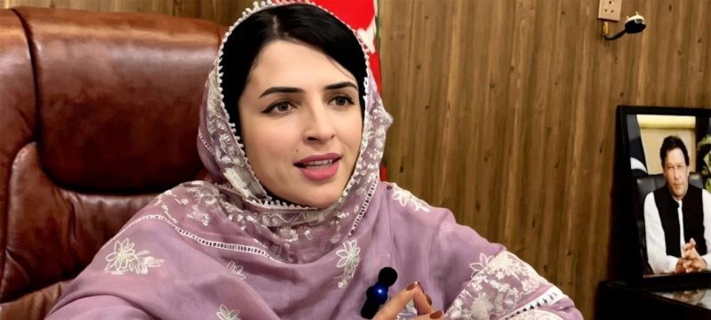 After February 8, Mashal Yousafzai Could Face Accountability, Warns Salman Akram