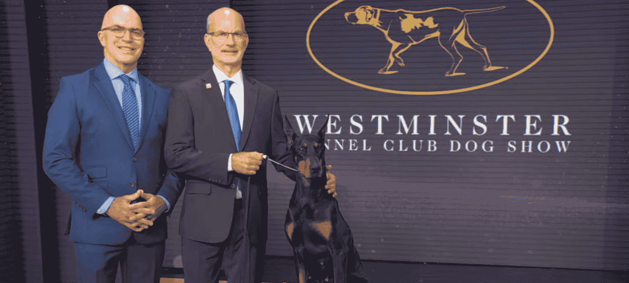 Meet Penny: The Doberman Crowned Champion At Westminster Dog Show