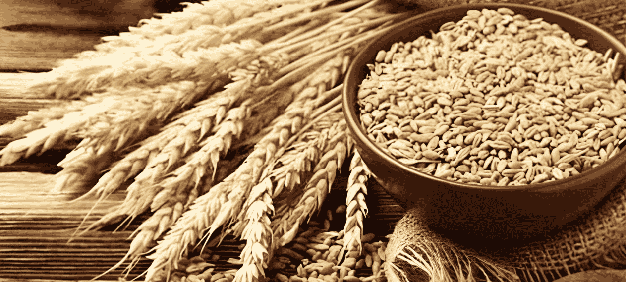 Punjab Government Announces Rs3,500 Price For 40kg Wheat