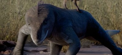Hidden for Millions of Years Giant Bird-Like Dinosaur Discovered in Niger