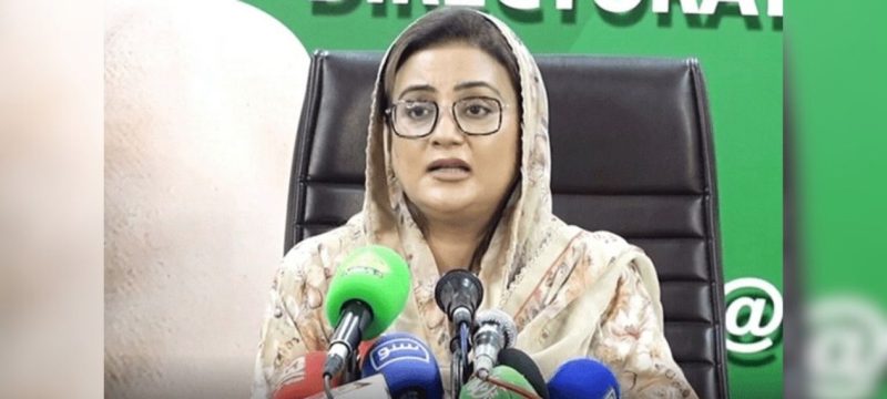 Punjab Govt Plans to Expand Basant if Lahore Celebrations Succeed