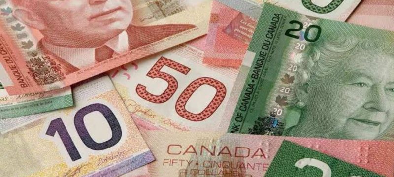 Canadian Dollar Strengthens to 205.58 PKR Amid Stable Forex Trends