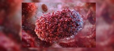 Hidden Virus in Bangladesh: Are Bat-Borne Infections Being Missed?