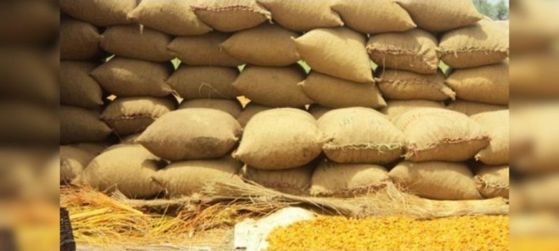 64,000 Wheat Sacks Vanish in Sindh: Who’s Behind the Missing Stock?