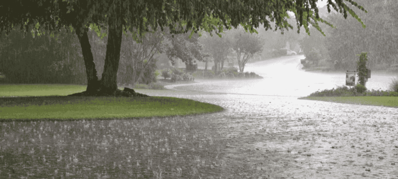 Weather Update: Rain, Thunderstorms, And Cooler Temperatures Expected