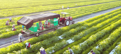 Relief For Farmers: Punjab Offers Rs150 Per Litre Diesel Subsidy