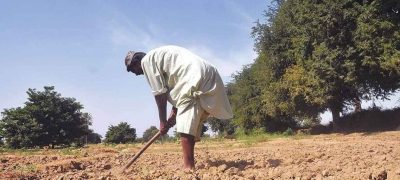 CM Maryam Launches “Apna Khet, Apna Rozgar” Portal