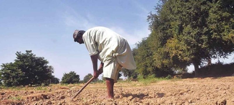 CM Maryam Launches “Apna Khet, Apna Rozgar” Portal