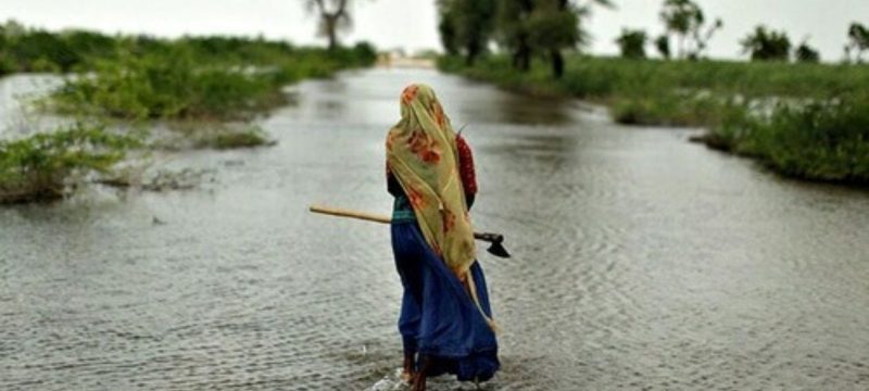 Climate Change Could Cost Pakistan 6% of GDP by 2050