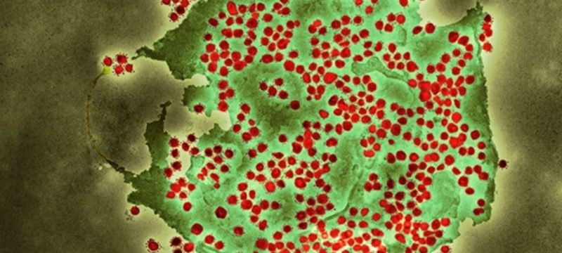 New COVID Variant Detected Across 23 Countries