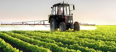 Pakistan Approves PATCO Seeds to Support Farmers With Better Crop Production