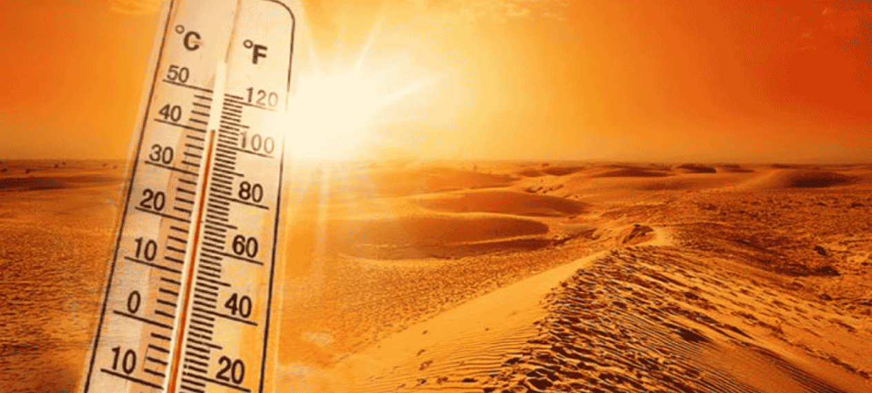 Sindh Postpones Pink Games Due To Intense Heatwave