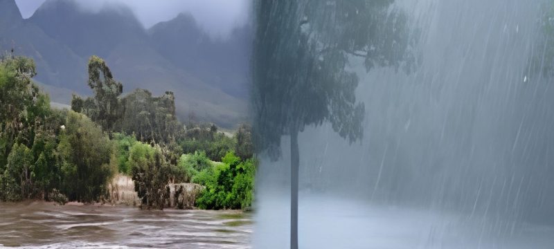 PDMA Issues Rain and Thunderstorm Alert Across Khyber Pakhtunkhwa