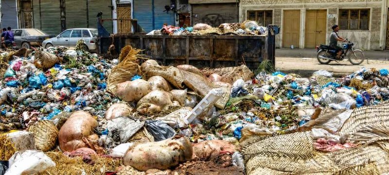Punjab Approves Rs50,000 Fine for Dumping Animal Offals in Streets on Eidul Azha