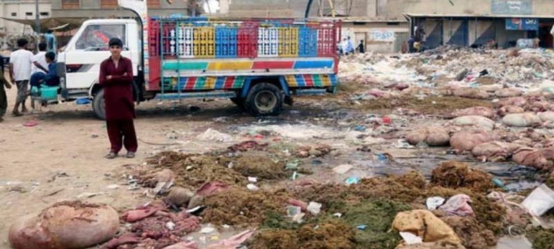 Punjab Imposes Rs. 50,000 Fine for Illegal Animal Waste Dumping on Eid ul Adha
