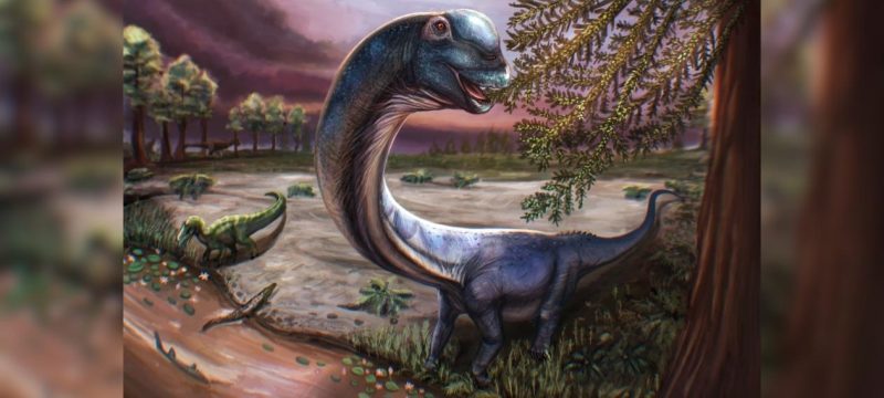 Scientists Discover Largest Dinosaur Ever Found in Southeast Asia