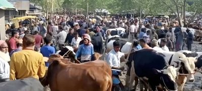 Karachi Cracks Down on Illegal Cattle Markets Ahead of Eid al-Adha