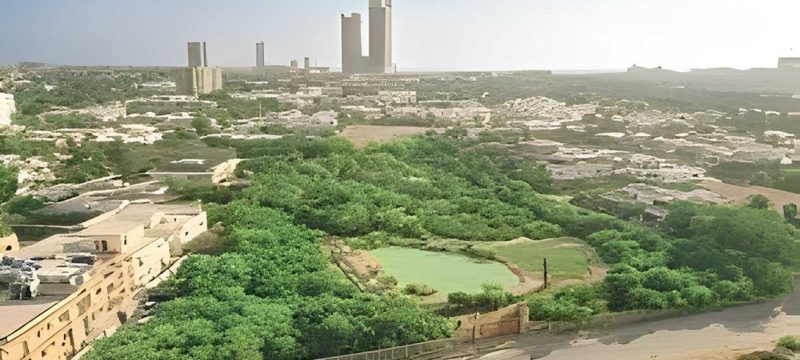 Karachi Expands Green Drive with Urban Forest Project Along Shahrah-e-Bhutto
