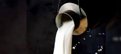 Karachi Dairy Farmers Demand Major Increase in Milk Price