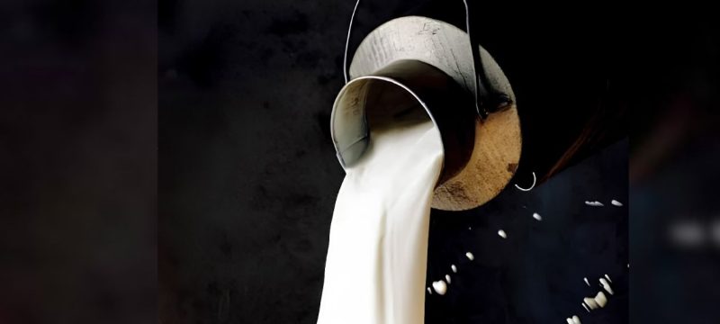 Karachi Dairy Farmers Demand Major Increase in Milk Price