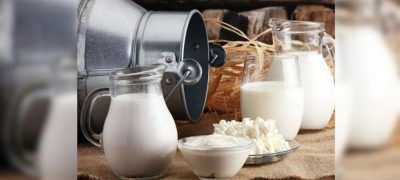 Pakistan Moves to Expand Milk Industry Exports Through Dairy Genetics Cooperation with China