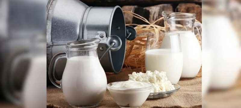 Pakistan Moves to Expand Milk Industry Exports Through Dairy Genetics Cooperation with China