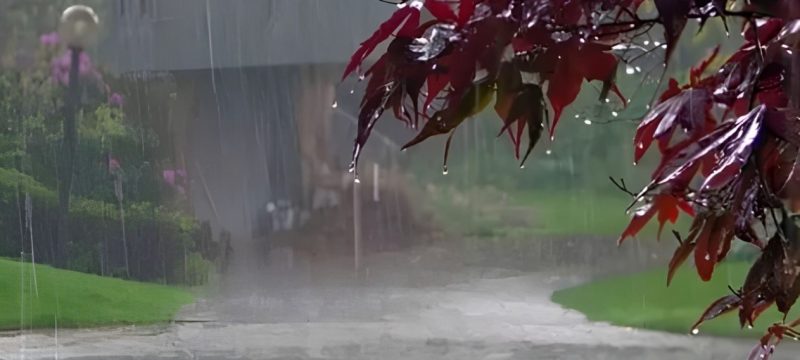 Rain Expected Across Northern Pakistan as New Weather System Approaches