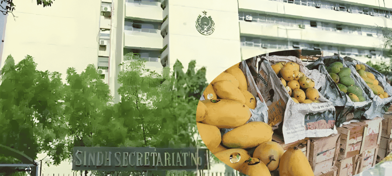 Mango Crates Entry Banned At Sindh Secretariat Over Security Concerns